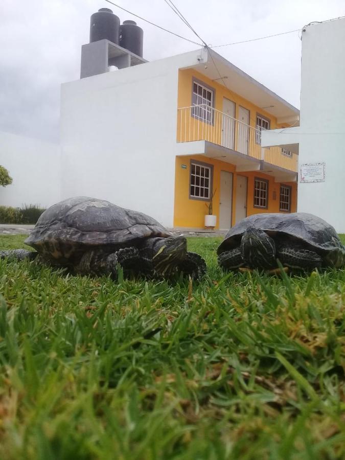 Posada Del Angel Pachuca Dış mekan fotoğraf